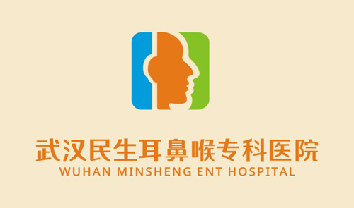 武汉民生耳鼻喉专科医院,logo，VI设计